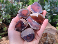 Polished On One Side Red Sashe River Agate Nodules x 24 From Zimbabwe