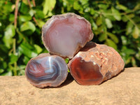 Polished On One Side Red Sashe River Agate Nodules x 24 From Zimbabwe