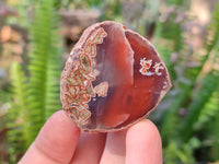 Polished On One Side Red Sashe River Agate Nodules x 24 From Zimbabwe