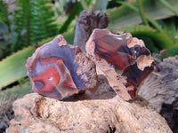Polished On One Side Red Sashe River Agate Nodules x 24 From Zimbabwe