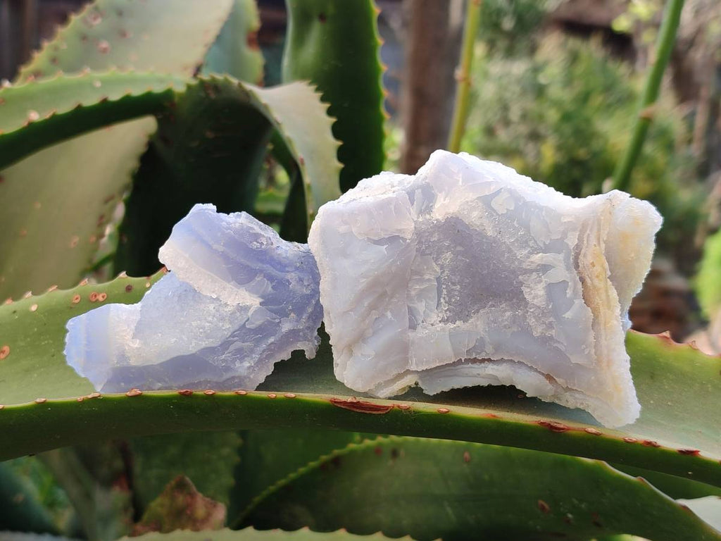 Natural Etched Blue Chalcedony Specimens x 12 From Nsanje, Malawi - Toprock Gemstones and Minerals 