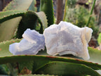 Natural Etched Blue Chalcedony Specimens x 12 From Nsanje, Malawi - Toprock Gemstones and Minerals 