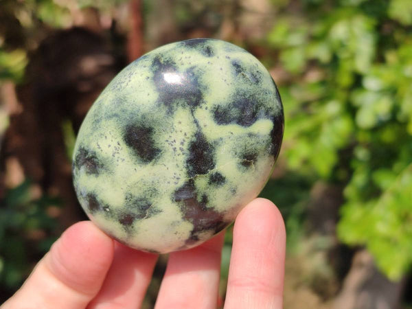 Polished Leopard Stone Palm Stones x 9 From Zimbabwe