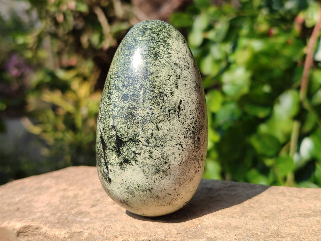 Polished Leopard Stone Palm Stones x 9 From Zimbabwe - Toprock Gemstones and Minerals 