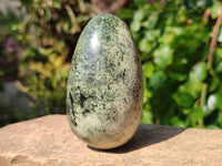 Polished Leopard Stone Palm Stones x 9 From Zimbabwe