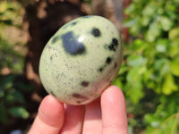 Polished Leopard Stone Palm Stones x 9 From Zimbabwe