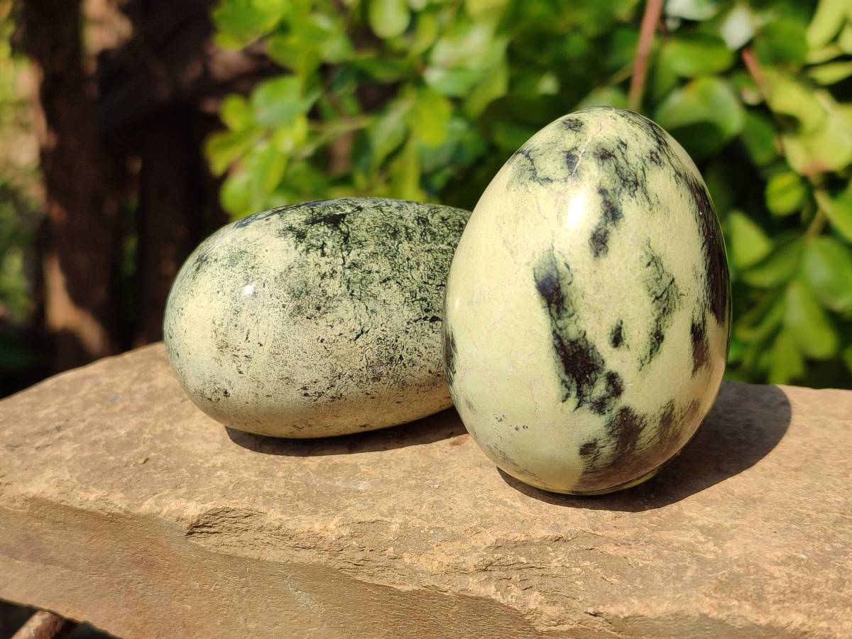 Polished Leopard Stone Palm Stones x 9 From Zimbabwe - Toprock Gemstones and Minerals 