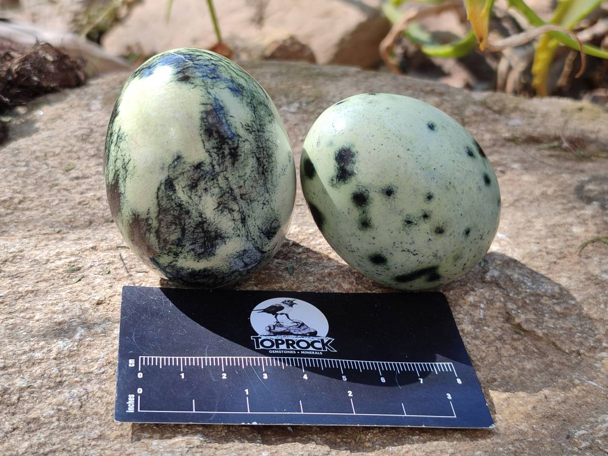 Polished Leopard Stone Palm Stones x 9 From Zimbabwe - Toprock Gemstones and Minerals 