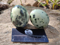 Polished Leopard Stone Palm Stones x 9 From Zimbabwe