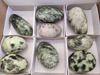 Polished Leopard Stone Palm Stones x 9 From Zimbabwe - Toprock Gemstones and Minerals 
