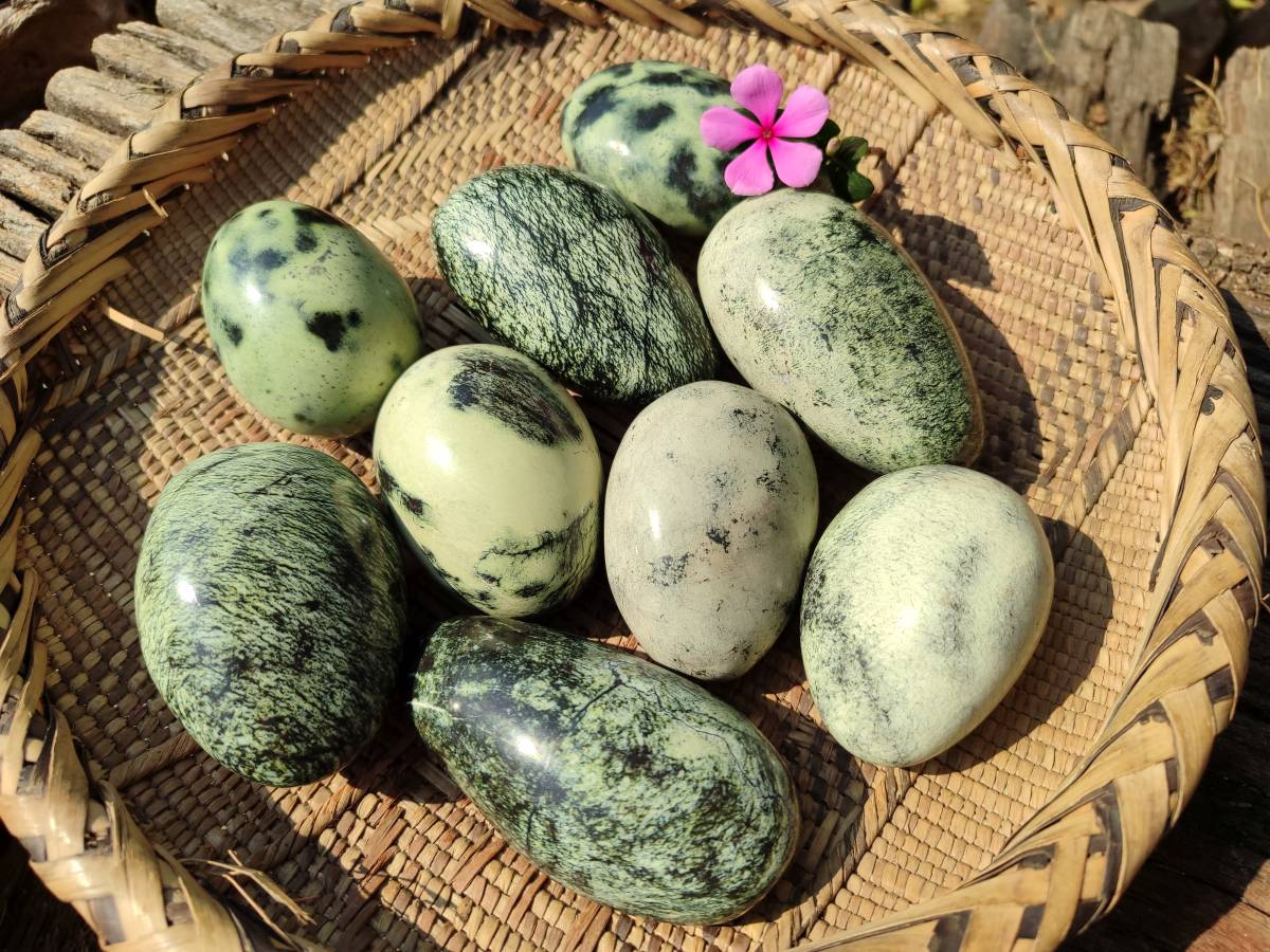 Polished Leopard Stone Palm Stones x 9 From Zimbabwe - Toprock Gemstones and Minerals 