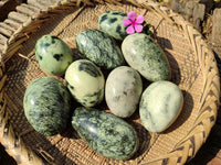 Polished Leopard Stone Palm Stones x 9 From Zimbabwe