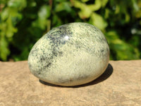 Polished Leopard Stone Palm Stones x 9 From Zimbabwe