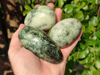 Polished Leopard Stone Palm Stones x 9 From Zimbabwe