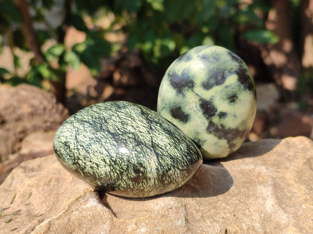 Polished Leopard Stone Palm Stones x 9 From Zimbabwe - Toprock Gemstones and Minerals 