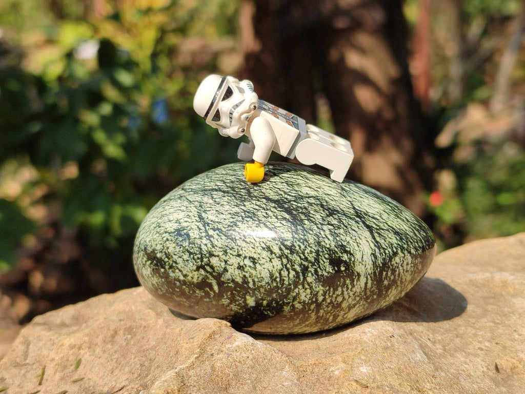 Polished Leopard Stone Palm Stones x 9 From Zimbabwe - Toprock Gemstones and Minerals 