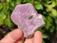 Natural Stichtite Specimens x 48 From Barberton, South Africa
