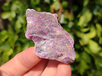 Natural Stichtite Specimens x 48 From Barberton, South Africa