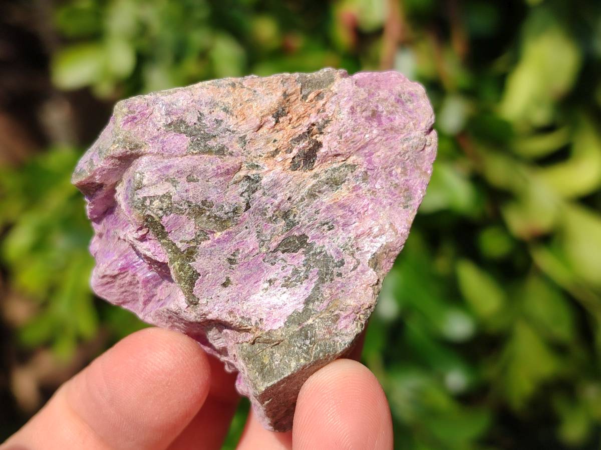 Natural Stichtite Specimens x 48 From Barberton, South Africa - Toprock Gemstones and Minerals 