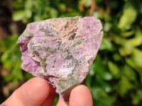 Natural Stichtite Specimens x 48 From Barberton, South Africa