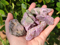 Natural Stichtite Specimens x 48 From Barberton, South Africa