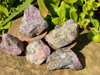 Natural Stichtite Specimens x 48 From Barberton, South Africa