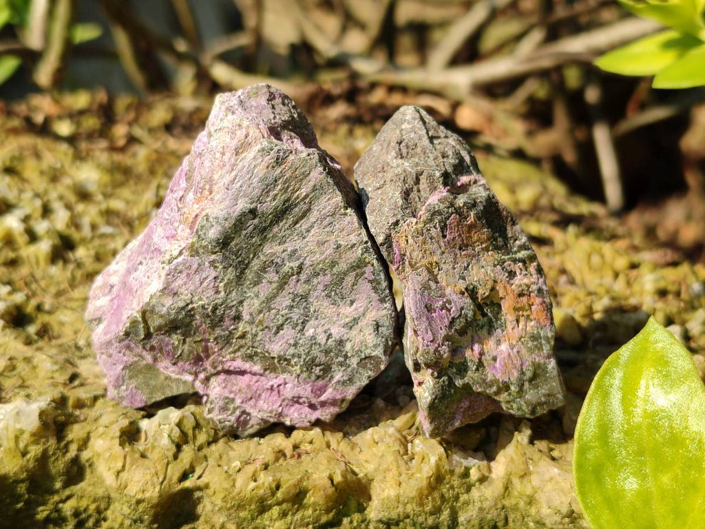 Natural Stichtite Specimens x 48 From Barberton, South Africa - Toprock Gemstones and Minerals 