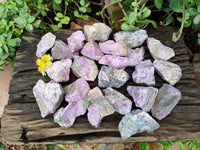 Natural Stichtite Specimens x 48 From Barberton, South Africa