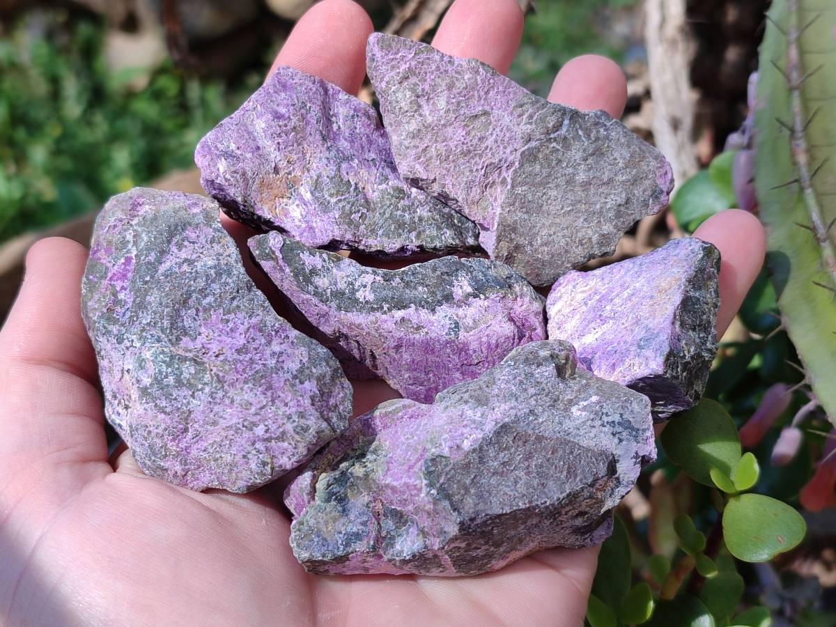 Natural Stichtite Specimens x 48 From Barberton, South Africa - Toprock Gemstones and Minerals 