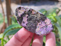 Natural Stichtite Specimens x 48 From Barberton, South Africa
