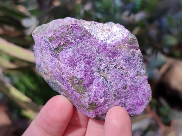 Natural Stichtite Specimens x 48 From Barberton, South Africa