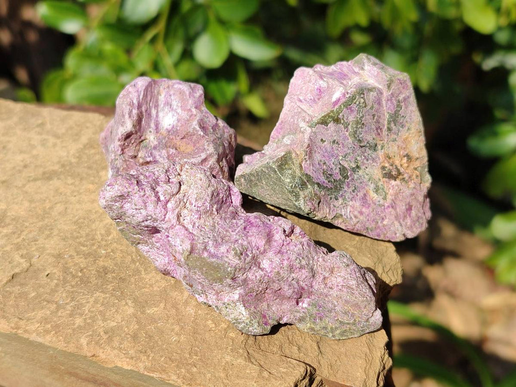 Natural Stichtite Specimens x 48 From Barberton, South Africa - Toprock Gemstones and Minerals 