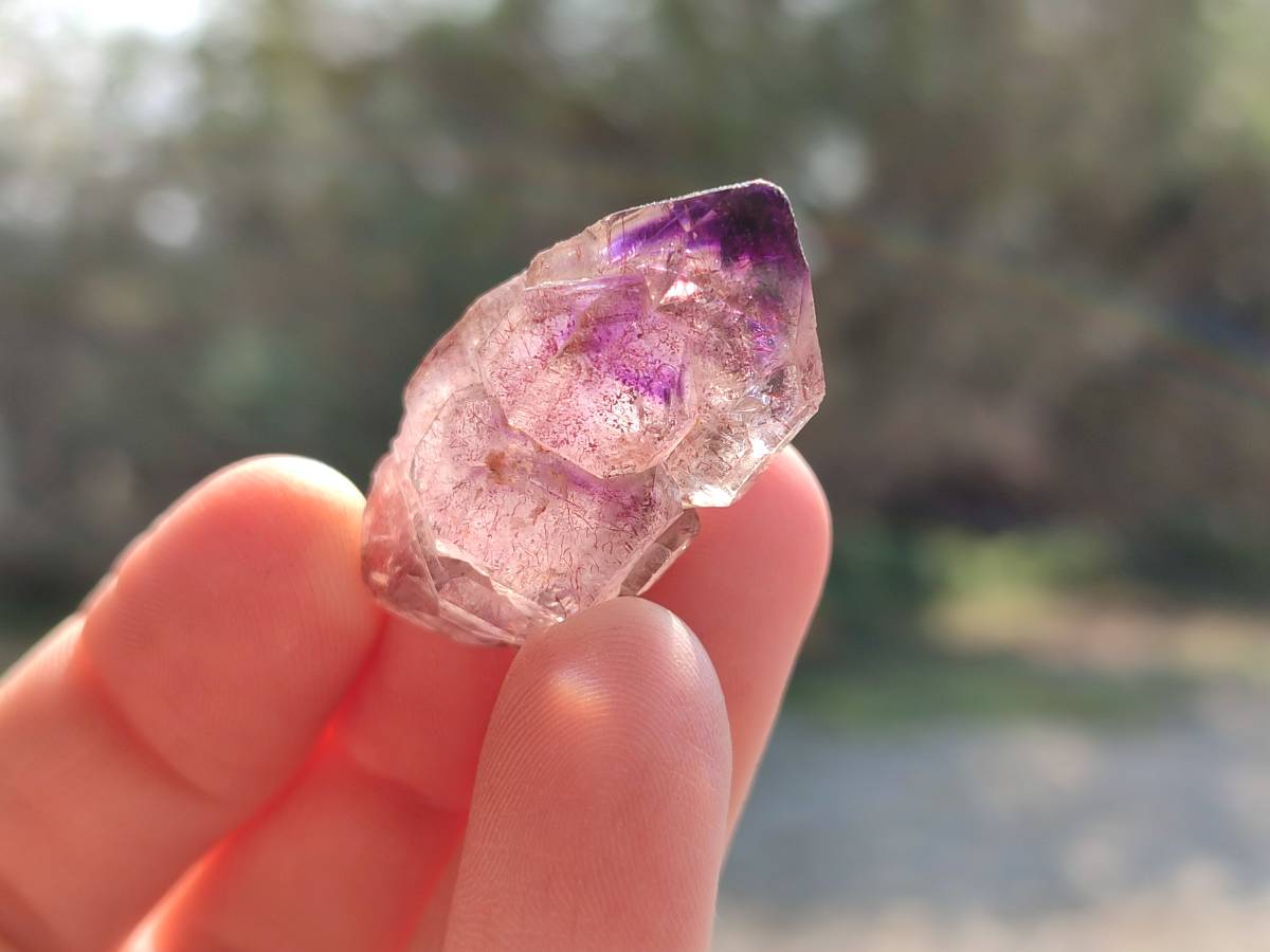 Natural Window Amethyst Crystals x 12 From Chiredzi, Zimbabwe - Toprock Gemstones and Minerals 