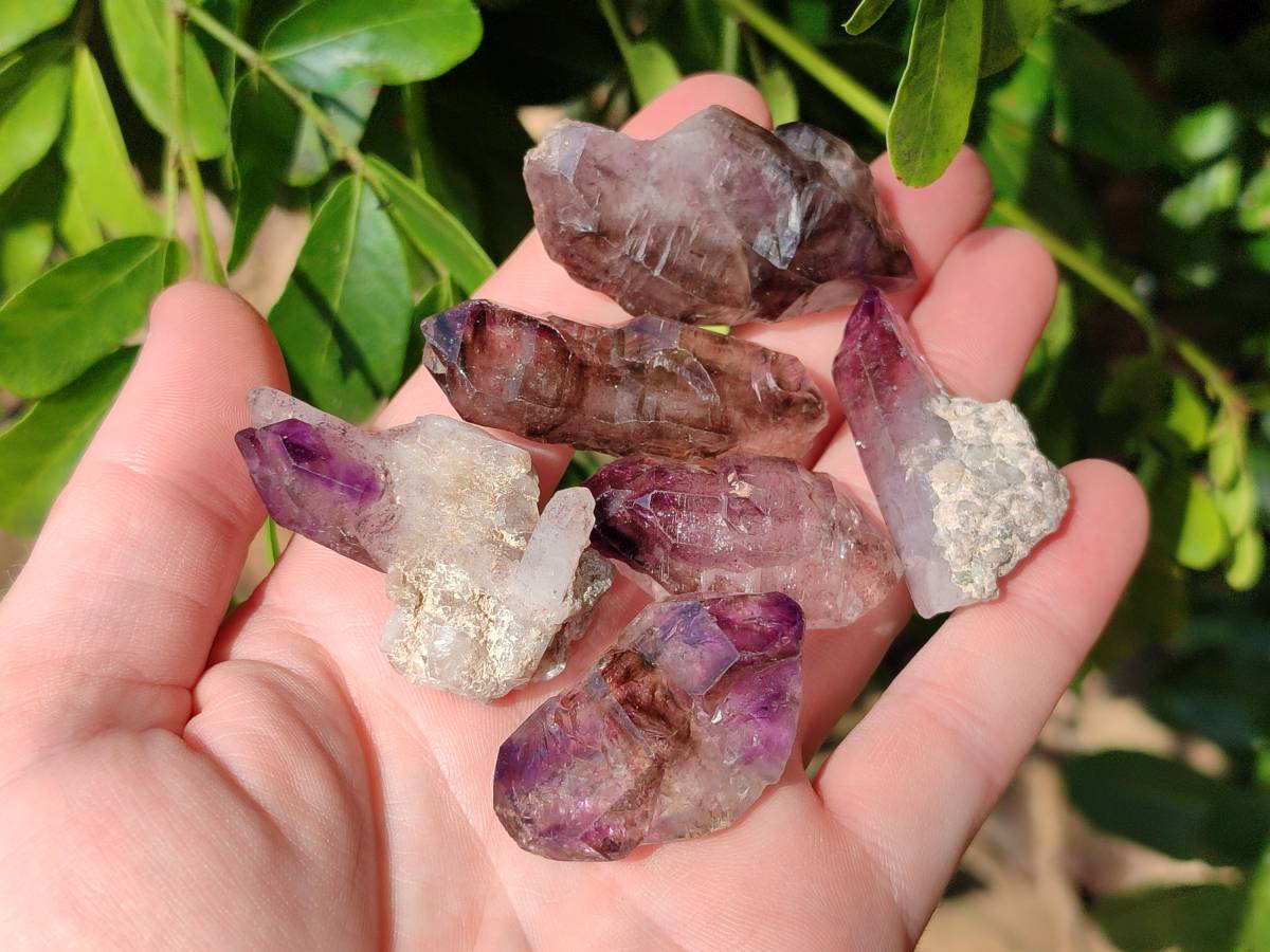 Natural Window Amethyst Crystals x 12 From Chiredzi, Zimbabwe - Toprock Gemstones and Minerals 