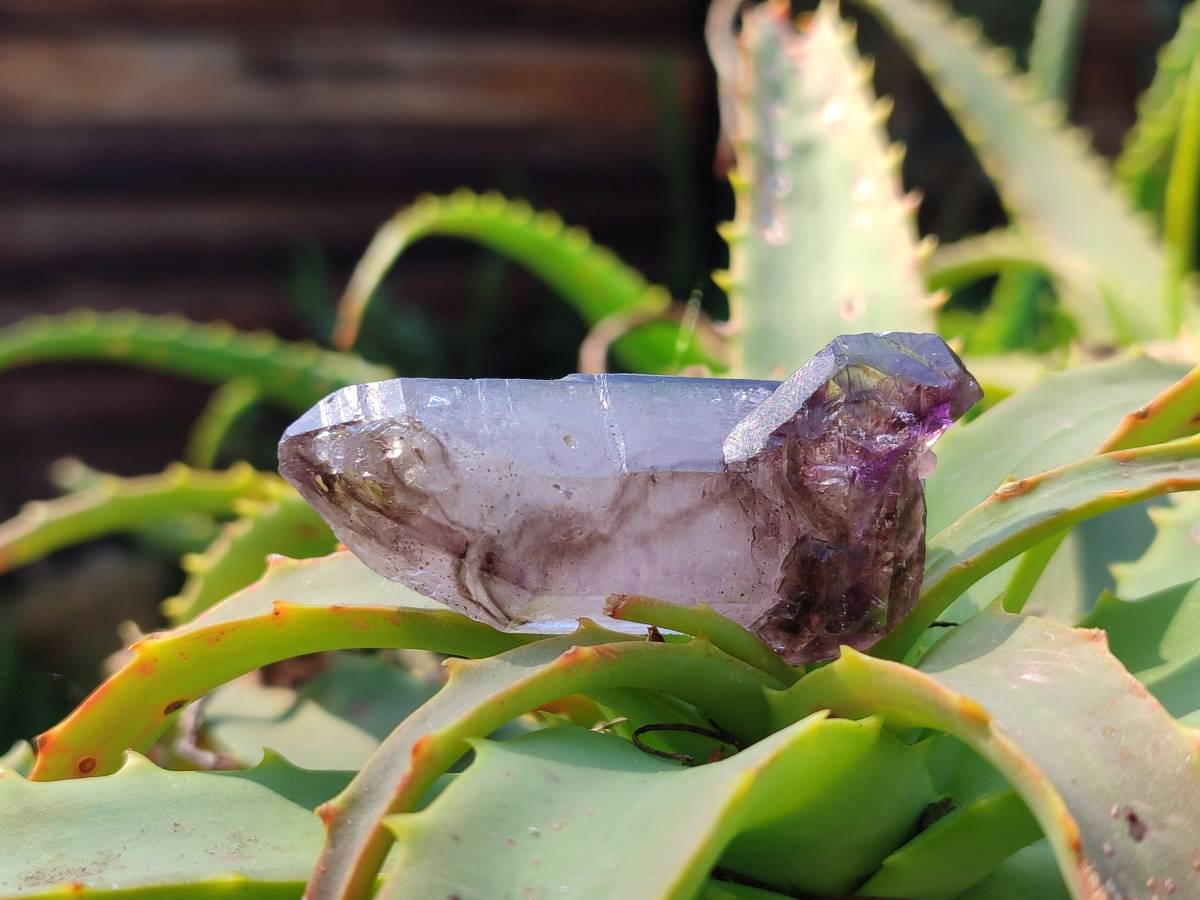 Natural Window Amethyst Crystals x 12 From Chiredzi, Zimbabwe - Toprock Gemstones and Minerals 