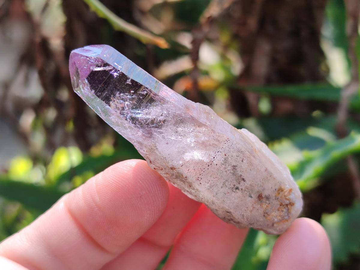 Natural Window Amethyst Crystals x 12 From Chiredzi, Zimbabwe - Toprock Gemstones and Minerals 