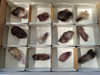 Natural Window Amethyst Crystals x 12 From Chiredzi, Zimbabwe - Toprock Gemstones and Minerals 