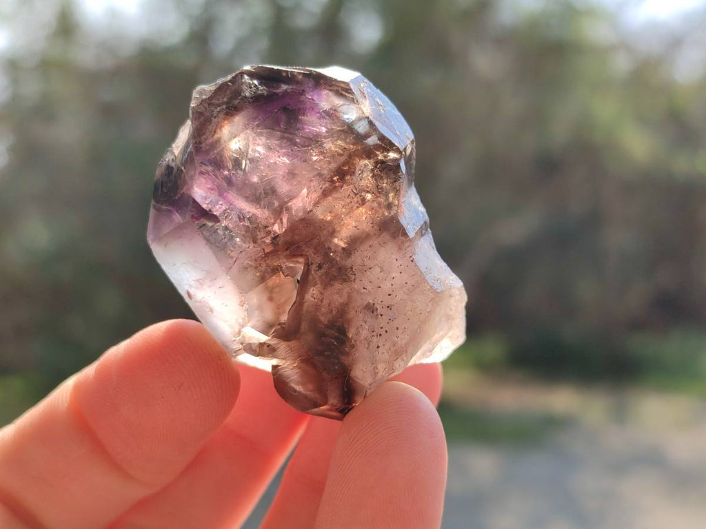 Natural Window Amethyst Crystals x 12 From Chiredzi, Zimbabwe - Toprock Gemstones and Minerals 