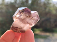 Natural Window Amethyst Crystals x 12 From Chiredzi, Zimbabwe