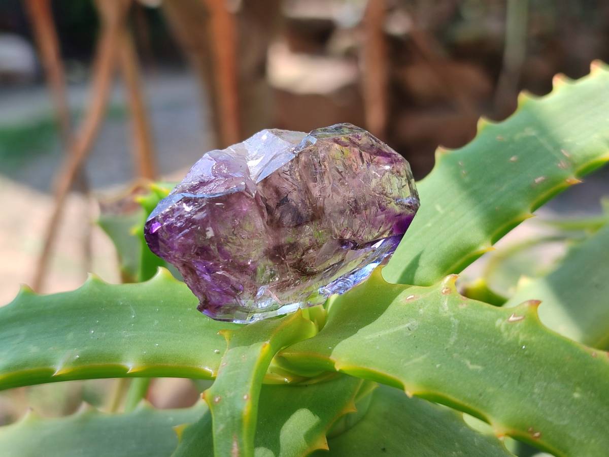 Natural Window Amethyst Crystals x 12 From Chiredzi, Zimbabwe - Toprock Gemstones and Minerals 