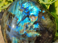 Polished Labradorite Hearts x 2 From Tulear, Madagascar