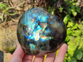 Polished Labradorite Hearts x 2 From Tulear, Madagascar - Toprock Gemstones and Minerals 