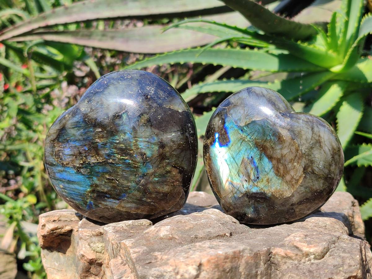 Polished Labradorite Hearts x 2 From Tulear, Madagascar - Toprock Gemstones and Minerals 