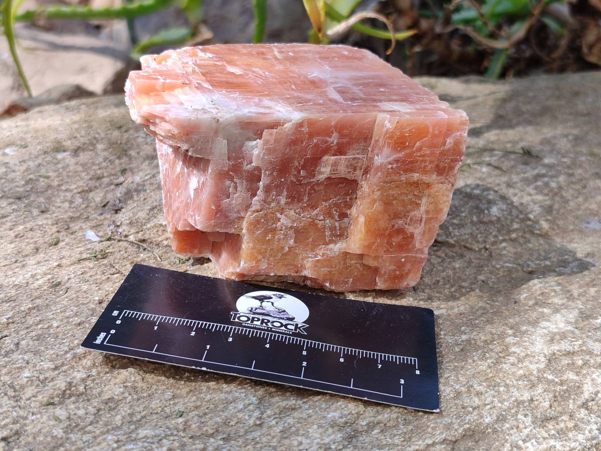 Natural Sunset Orange Calcite Specimens x 4 From Spitzkop, Namibia - Toprock Gemstones and Minerals 