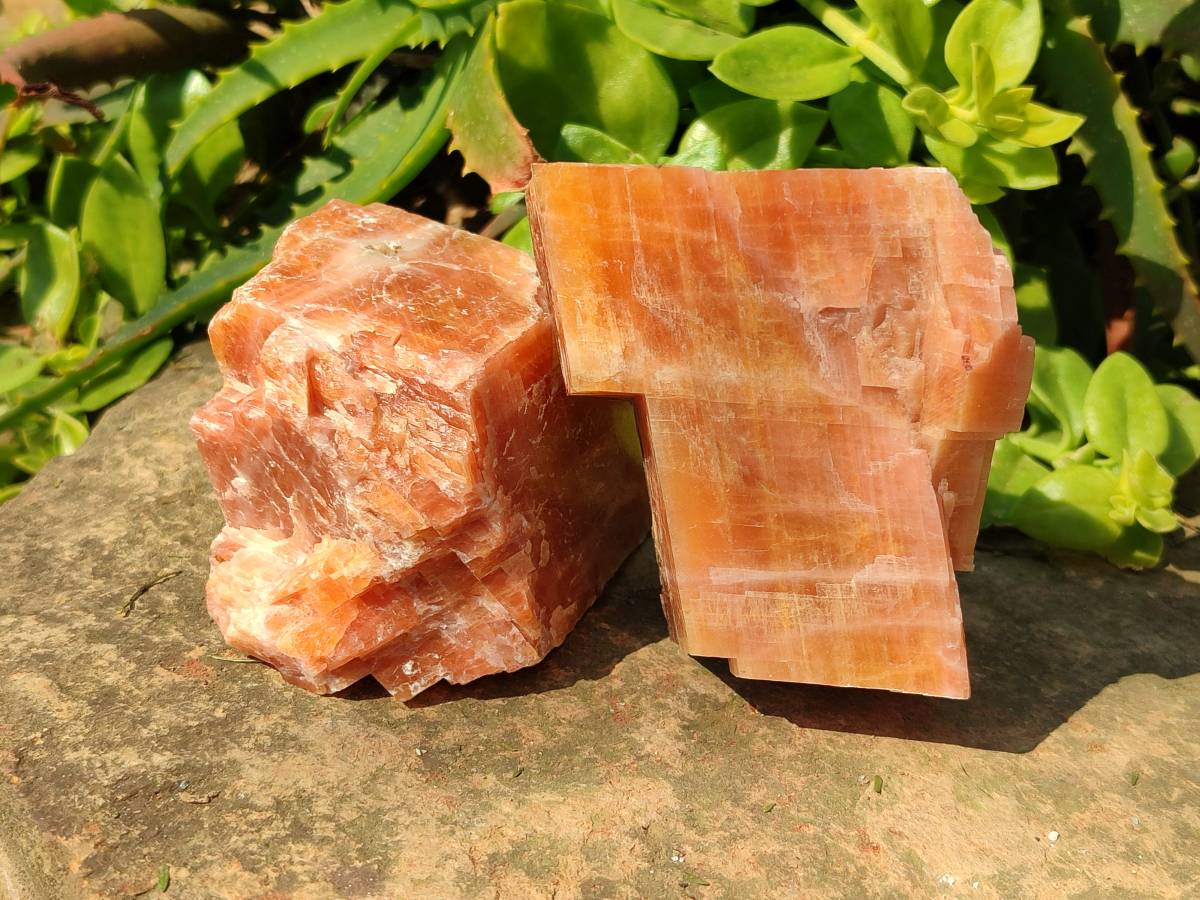 Natural Sunset Orange Calcite Specimens x 4 From Spitzkop, Namibia - Toprock Gemstones and Minerals 