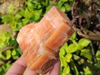 Natural Sunset Orange Calcite Specimens x 4 From Spitzkop, Namibia