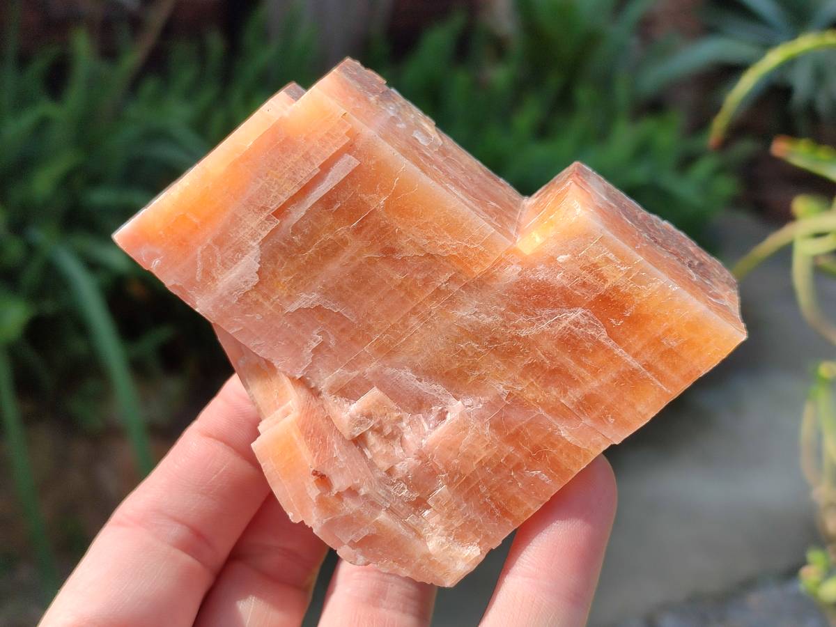 Natural Sunset Orange Calcite Specimens x 4 From Spitzkop, Namibia - Toprock Gemstones and Minerals 
