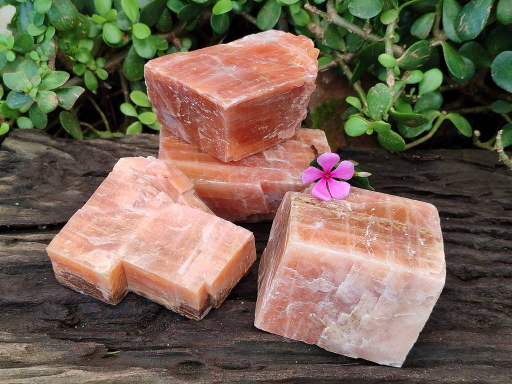 Natural Sunset Orange Calcite Specimens x 4 From Spitzkop, Namibia - Toprock Gemstones and Minerals 