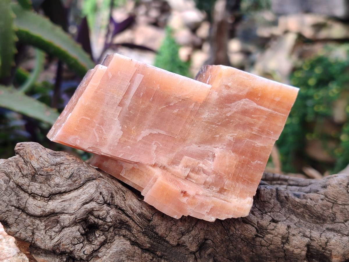 Natural Sunset Orange Calcite Specimens x 4 From Spitzkop, Namibia - Toprock Gemstones and Minerals 