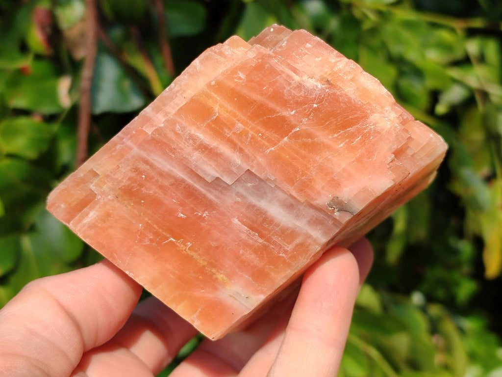 Natural Sunset Orange Calcite Specimens x 4 From Spitzkop, Namibia - Toprock Gemstones and Minerals 